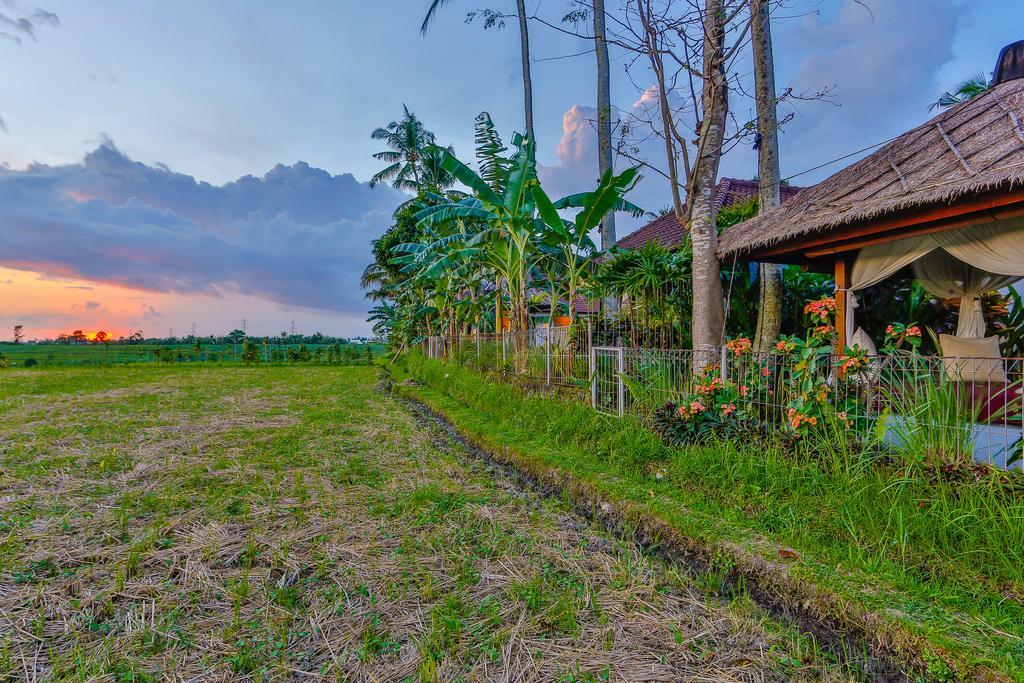 Villa Kaba Kaba Resort Canggu  Exterior photo